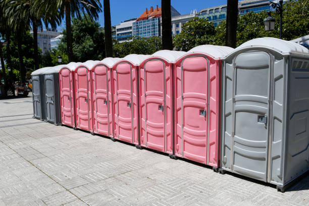 Types of Portable Toilets We Offer in Poplar Grove, IL